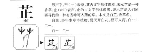 芷的五行|芷的五行属什么,芷字的五行属性,芷的寓意